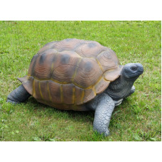 Natur Foam GIANT TURTLE